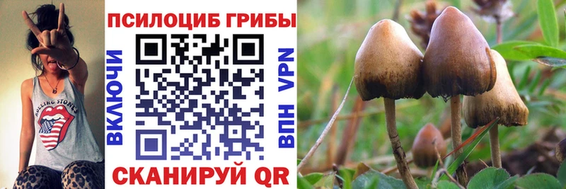 Псилоцибиновые грибы Magic Shrooms  МЕГА tor  Суздаль  наркотики 